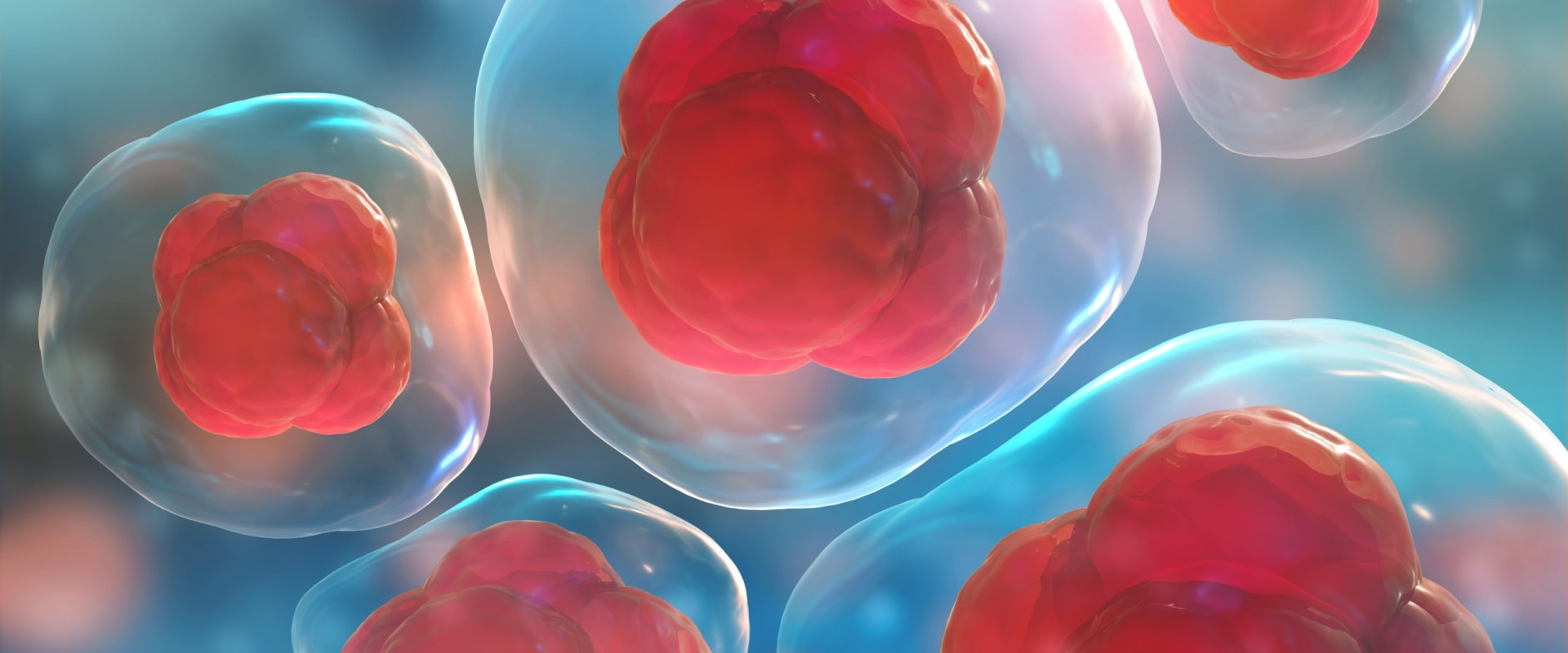 Is stem cell therapy worth the cost?