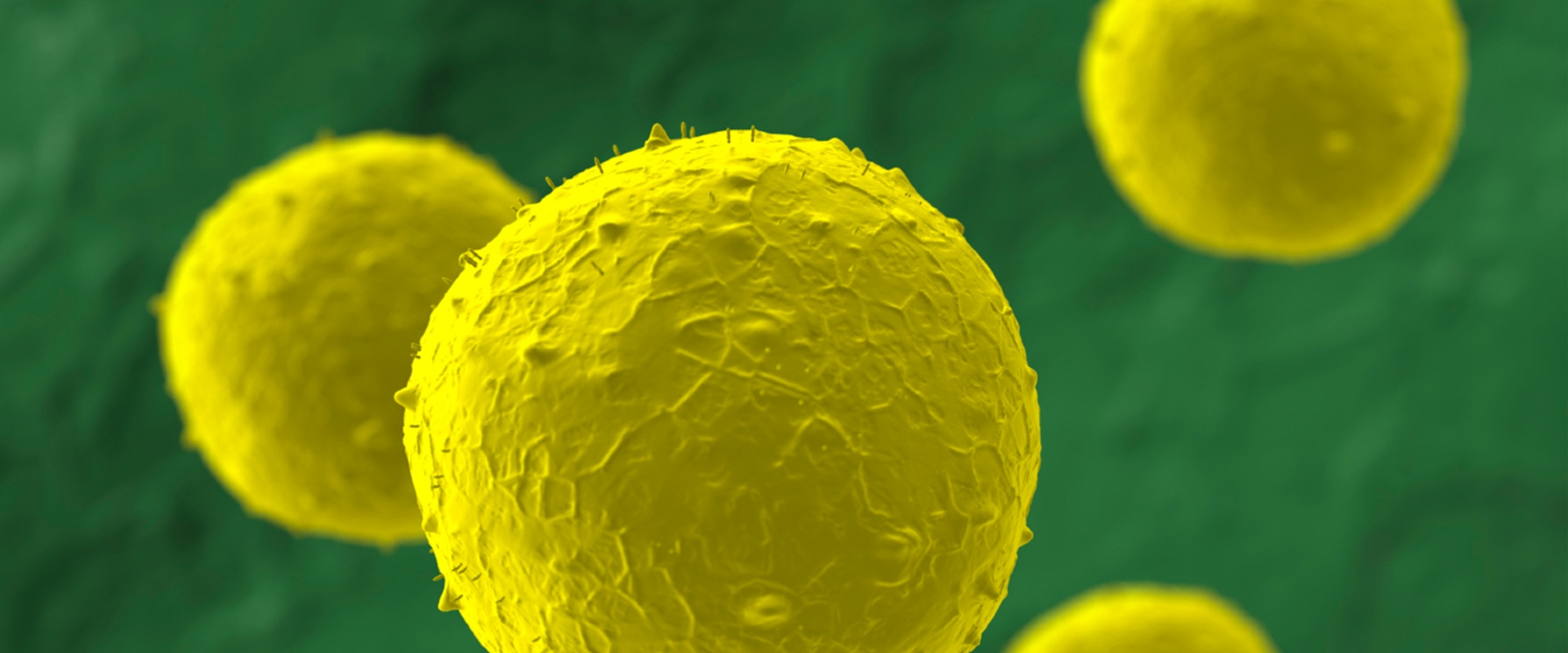 Which stem cell therapies are fda approved?