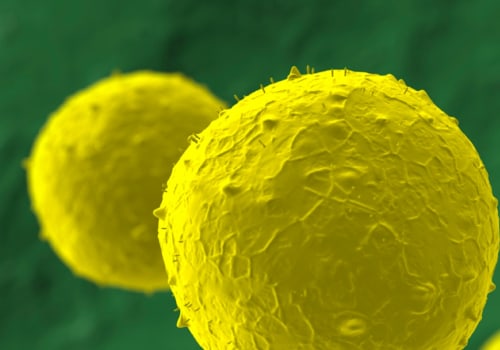 Does stem cell therapy use your own stem cells?